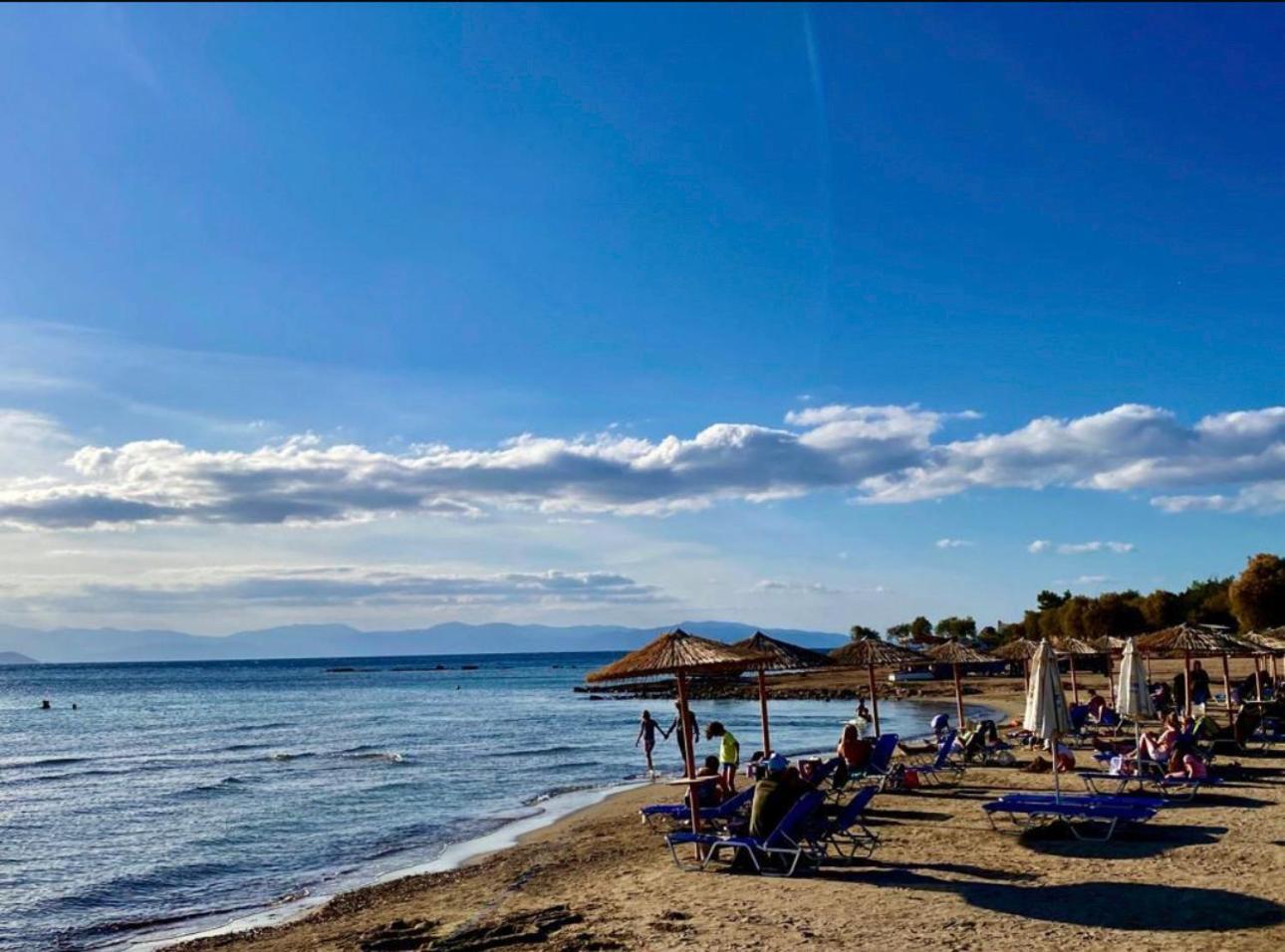 Appartement Vue Sur Mer Soul Family, Egine Aegina Bagian luar foto