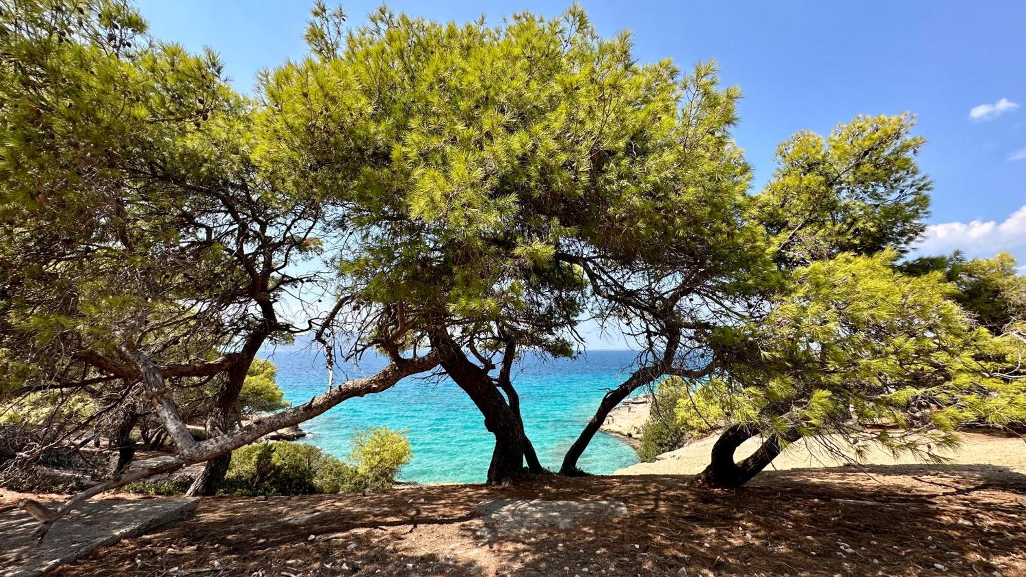 Appartement Vue Sur Mer Soul Family, Egine Aegina Bagian luar foto